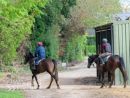 EL160424-50 - Emma Lavelle stable visit
